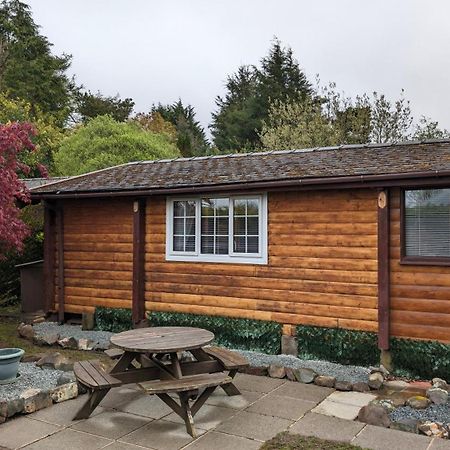 فيلا Snowdonia Log Cabin 2 Trawsfynydd المظهر الخارجي الصورة